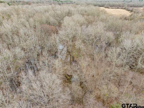 TBD 24+ acre Cr 3324, Pittsburg, TX, 75686 | Card Image