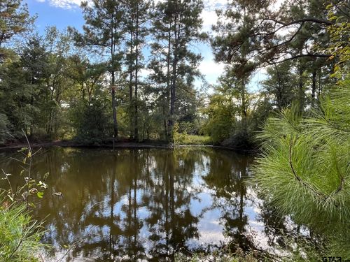 7749 Cr 4200 (Fodice Road), Pennington, TX, 75856 | Card Image