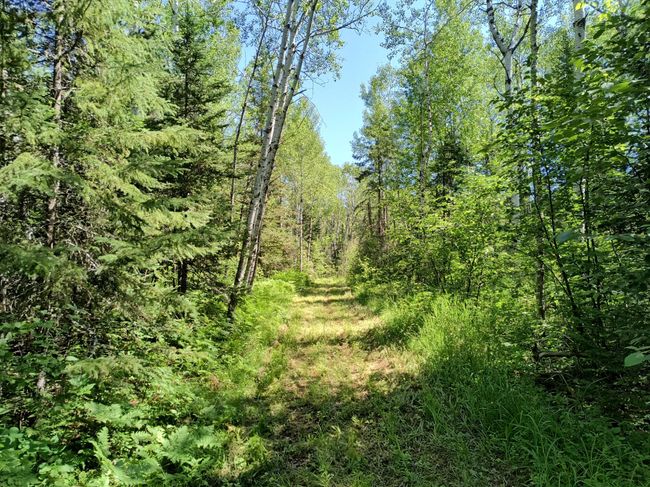 16499 Hwy 45, Home with 0 bedrooms, 0 bathrooms and null parking in Bruce Crossing MI | Image 23