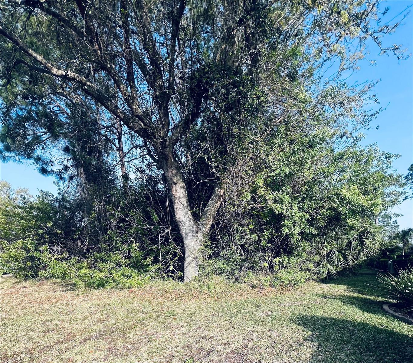 Land in PALM COAST 2