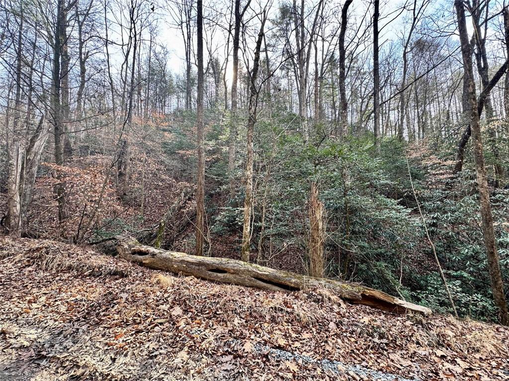 Land in Ellijay 4