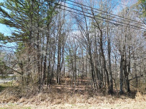 556 Westchester Dr, Crossville, TN, 38558-8249 | Card Image