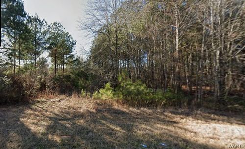 00 Salem Road 35, Aliceville, AL, 35442 | Card Image