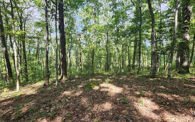0 Lakeview Heights, Home with 0 bedrooms, 0 bathrooms and null parking in Hayesville NC | Image 8