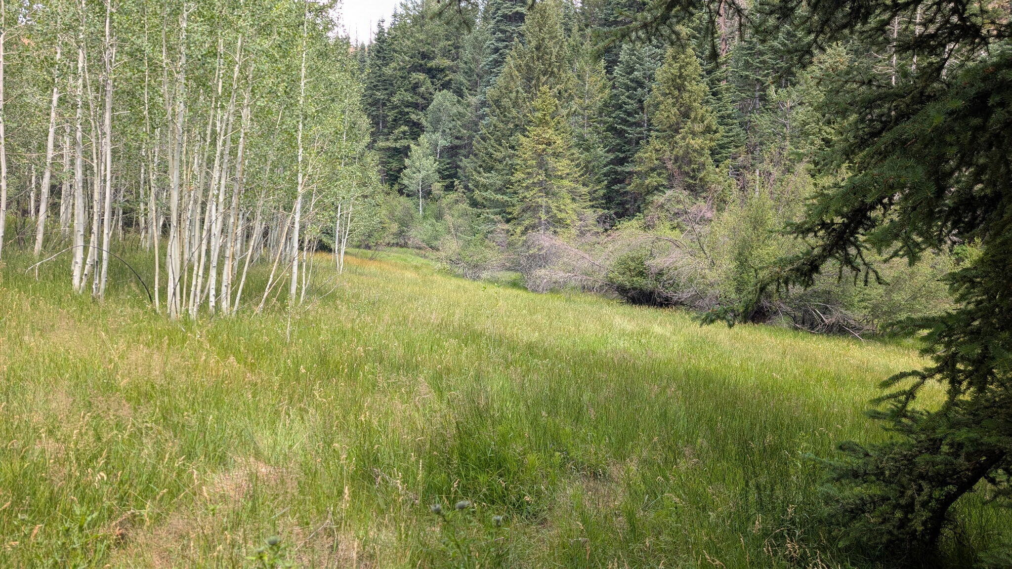 Land in Duck Creek 4