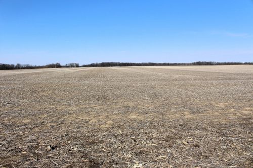 6200 Carl Springs Rd, Wapella, IL, 61777 | Card Image