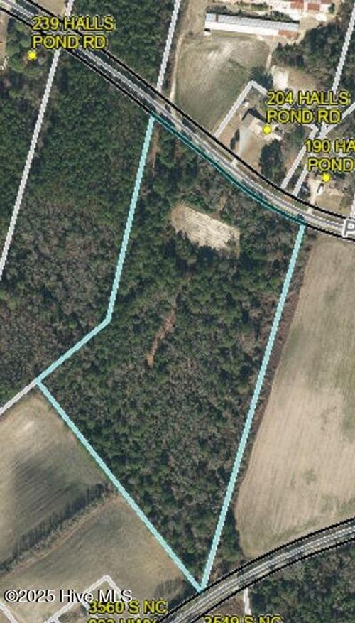 0 Halls Pond Rd, Rose Hill, NC, 28458 | Card Image