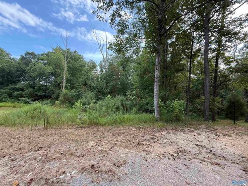 0.66 AC County Road 1606, Cullman, AL, 35058 | Card Image