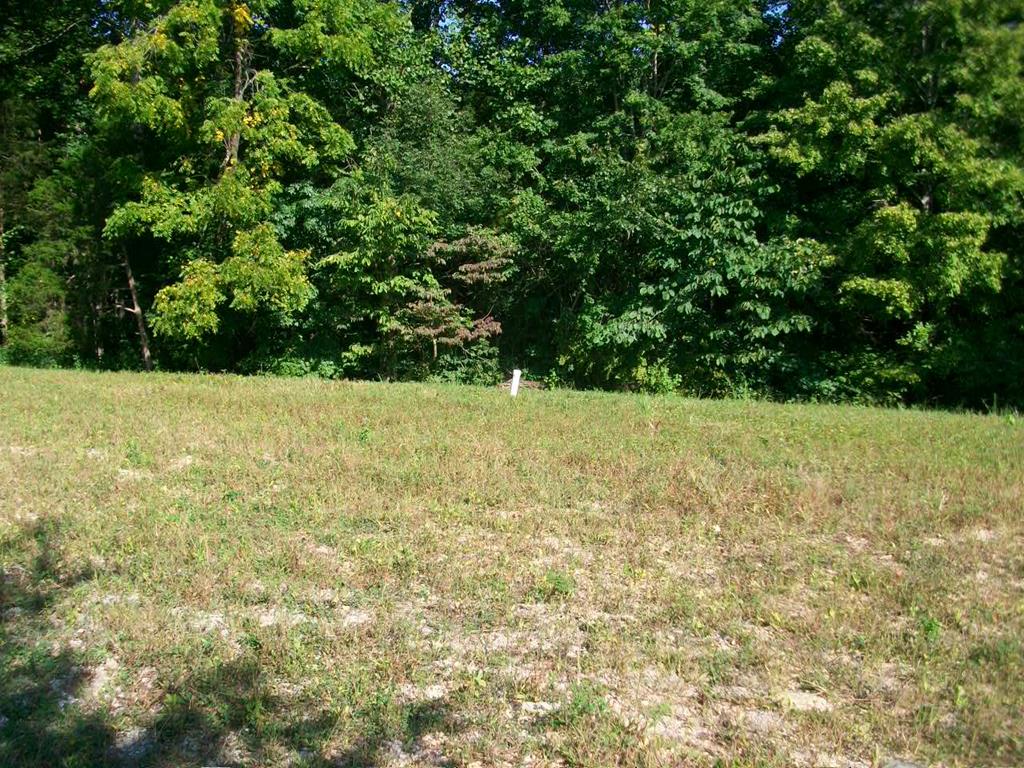 Booger Ridge Ln, Gainesboro, TN 38562