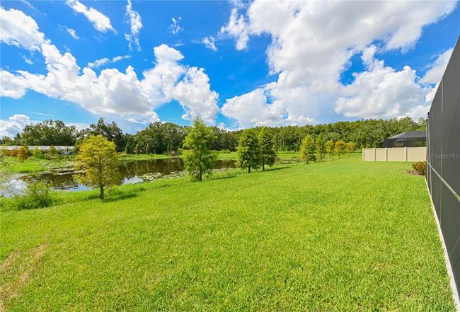 4808 Jackson Club Loop, House other with 4 bedrooms, 4 bathrooms and null parking in TAMPA FL | Image 41