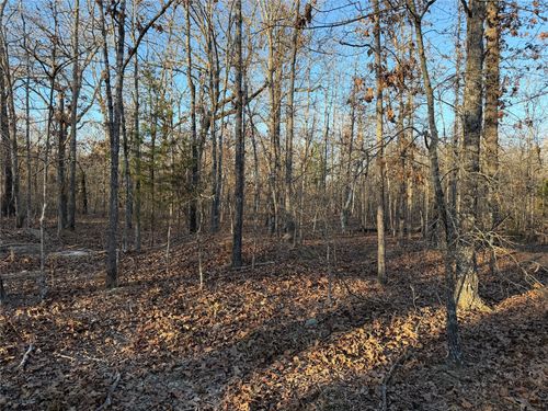 TBD County Road 45610, Blossom, TX, 75416 | Card Image