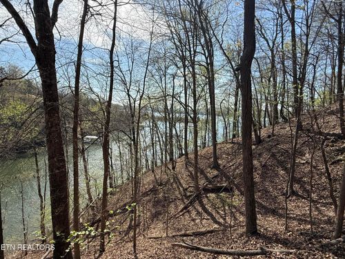 lot-39-39 Eerie Pt, Rockwood, TN, 37854 | Card Image