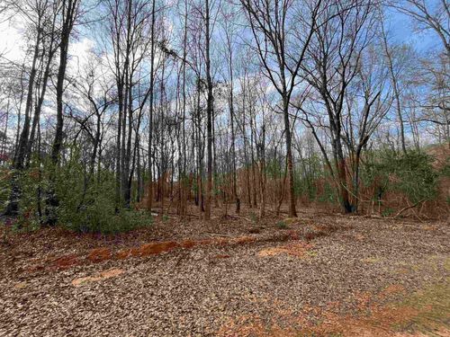 Tract 6 Venus Rd, Gladewater, TX, 75647 | Card Image