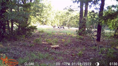 10422 236th Street, Blanchard, OK, 73010 | Card Image