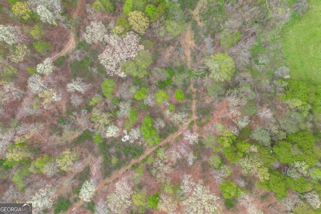 0 Carey Ford Rd, Home with 0 bedrooms, 0 bathrooms and null parking in Danielsville GA | Image 19