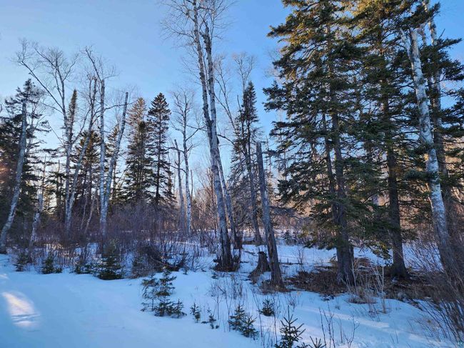 XX-2 Hoaglund Dr, Home with 0 bedrooms, 0 bathrooms and null parking in Tofte MN | Image 8