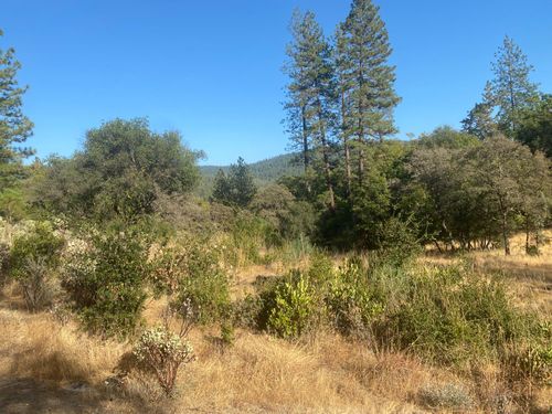 13911 Ingersoll Dr, Dobbins, CA, 95935-9613 | Card Image