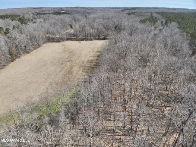 DJI_20250303113209_0011_V | Image 5