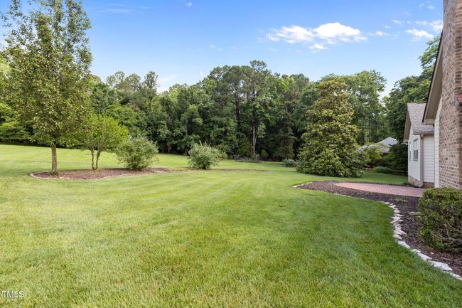 38-web-or-mls-2N6A0857 | Image 31