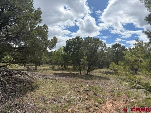 Lot 4 Tower Road North, Ridgway, CO, 81432 | Card Image