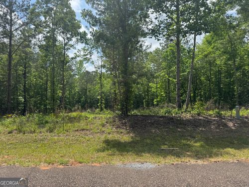 0 County Road 865, Roanoke, AL, 36274 | Card Image