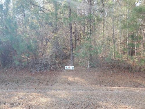 Lot 60 Eagle Trace Drive, Blounts Creek, NC, 27814 | Card Image