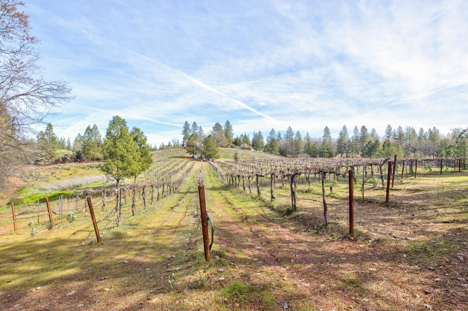 Residential Income in Placerville 4