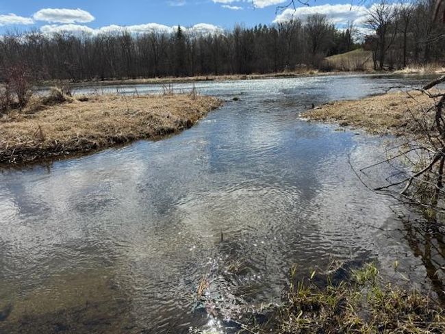 Launch your canoe here! | Image 27