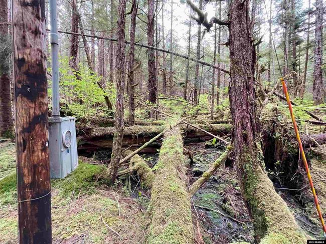 L3A &amp; 3B No Street Given, Home with 0 bedrooms, 0 bathrooms and null parking in Whale Pass AK | Image 17