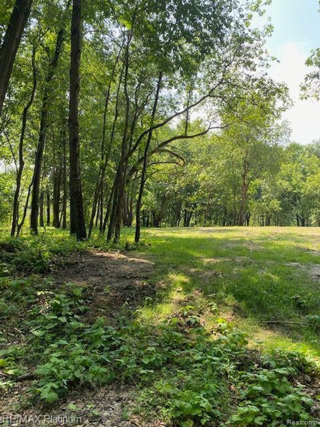 6 Sleaford Parcel 6   2.1 Acres Road, Home with 0 bedrooms, 0 bathrooms and null parking in Howell Township MI | Image 28