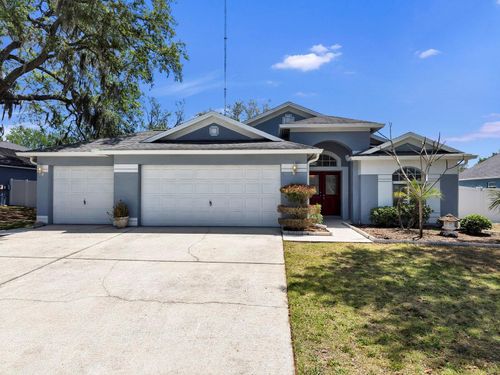 10725 Deepbrook Dr, RIVERVIEW, FL, 33569-8725 | Card Image