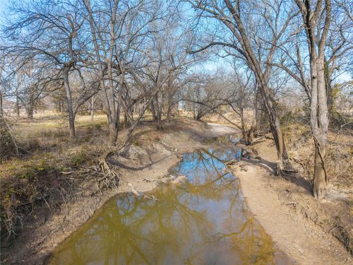 60.27 Acres - Leon River County Road 446, De Leon, TX, 76444 | Card Image
