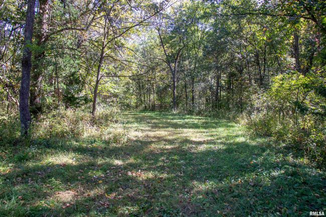 27232 215 Th St, Home with 5 bedrooms, 4 bathrooms and null parking in Canton MO | Image 19