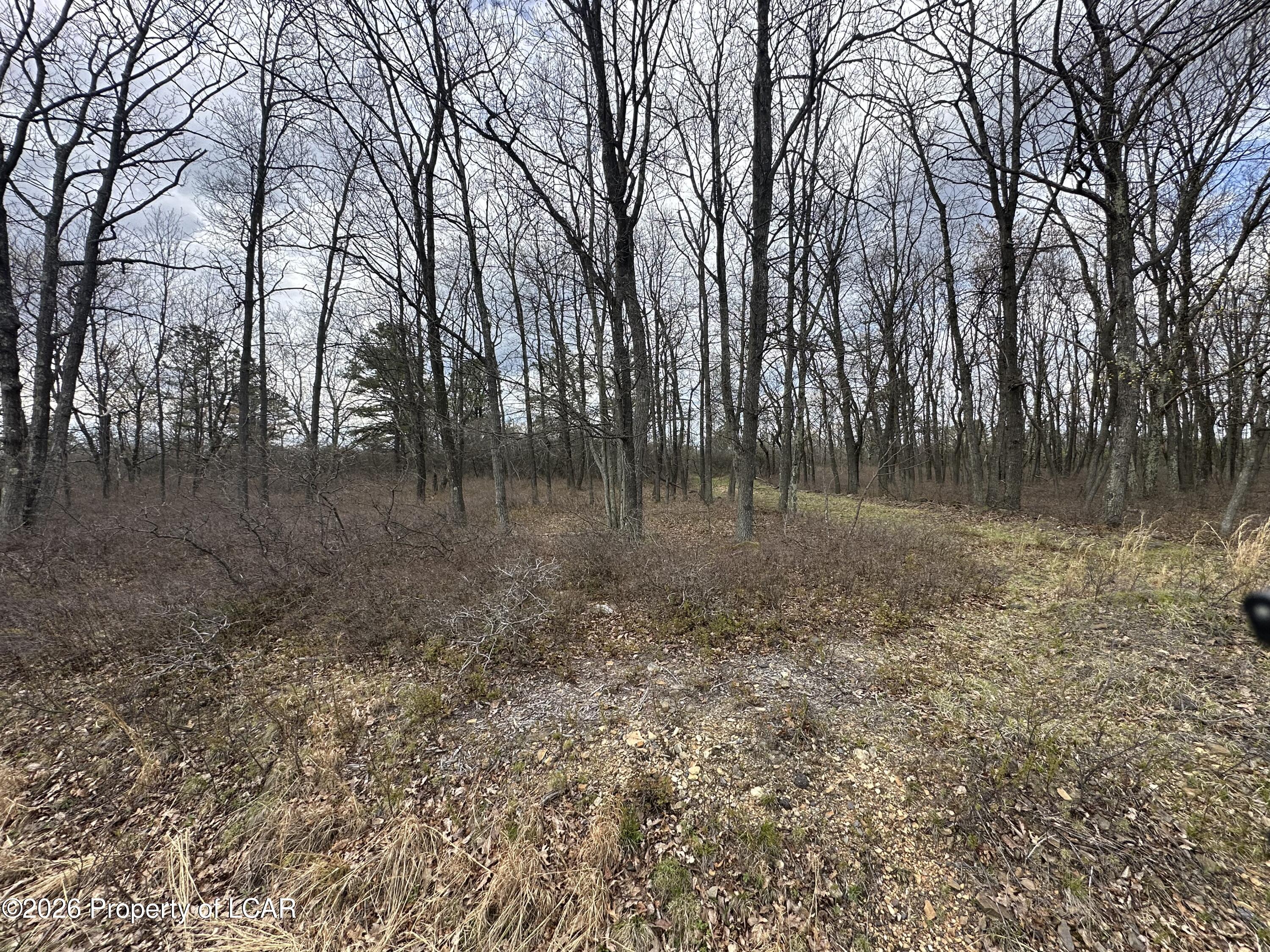 Land in Hazle Twp