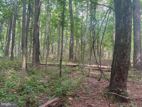 0 Thornton Gap Church Rd, SPERRYVILLE, VA, 22740 | Card Image