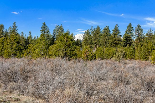 OReilly_20240402_6_295817_a_72ppi | Image 5