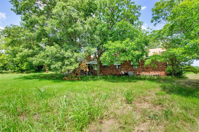View of yard | Image 7