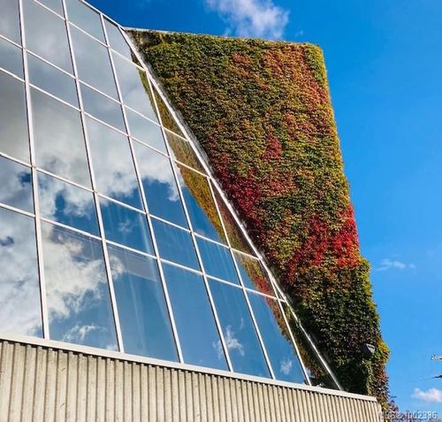 320-256 Wallace St, Nanaimo, BC, V9R5B3 | Card Image