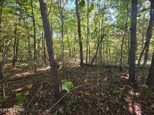 L6 Cumberland Lakes Dr, Monterey, TN, 38574 | Card Image