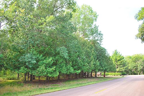 TBD Marohn Road, Baxter, MN, 56425 | Card Image