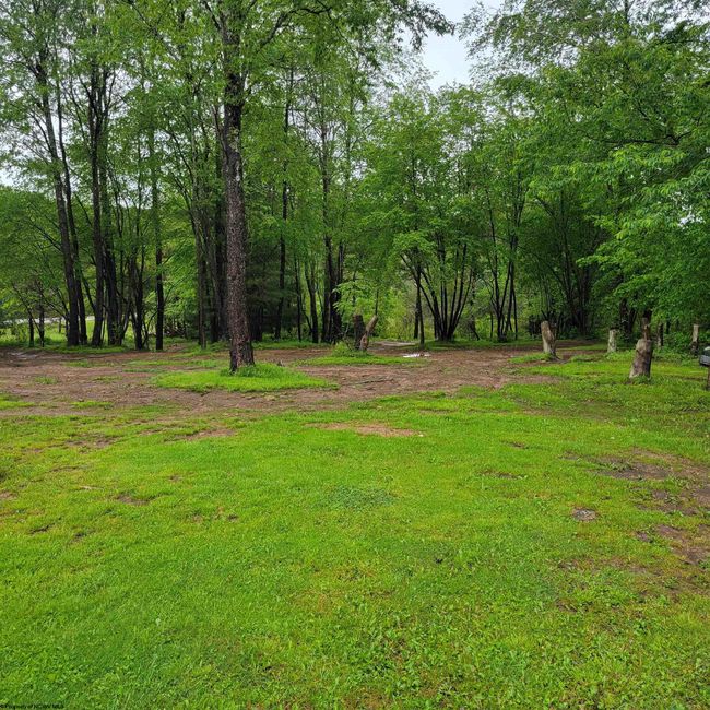 47 Rapp Dr, House other with 3 bedrooms, 2 bathrooms and 3 parking in Davis WV | Image 17