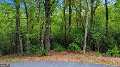 40-0 Grimes Nose, Sautee Nacoochee, GA, 30571 | Card Image