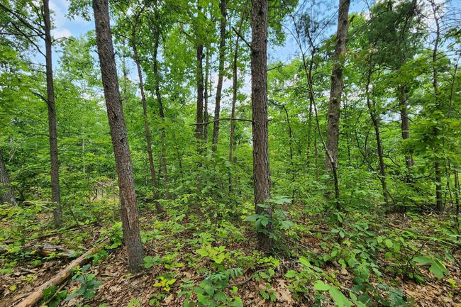 TRACT-3 - 0 Back Run Rd, Home with 0 bedrooms, 0 bathrooms and null parking in Philo OH | Image 28