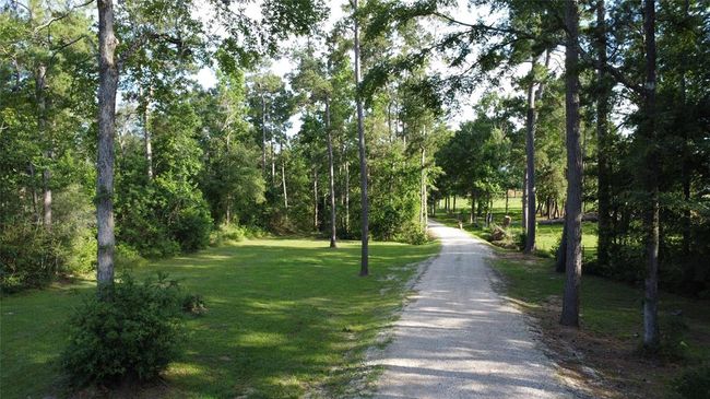 856 State Highway 150, Home with 0 bedrooms, 0 bathrooms and 4 parking in New Waverly TX | Image 21