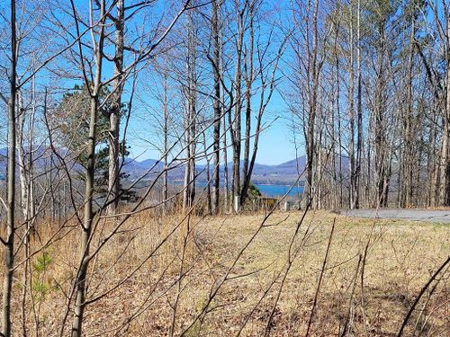 Lot 25 Dan Knob Dr, Hayesville, NC, 28904-6341 | Card Image