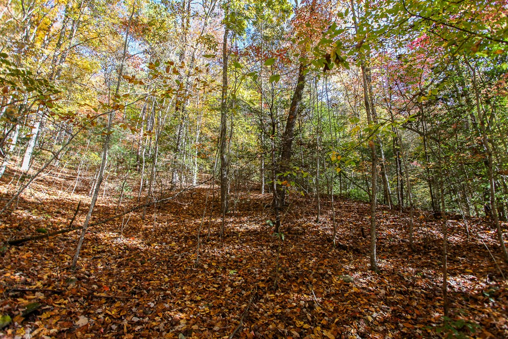 Land in Bryson City 5