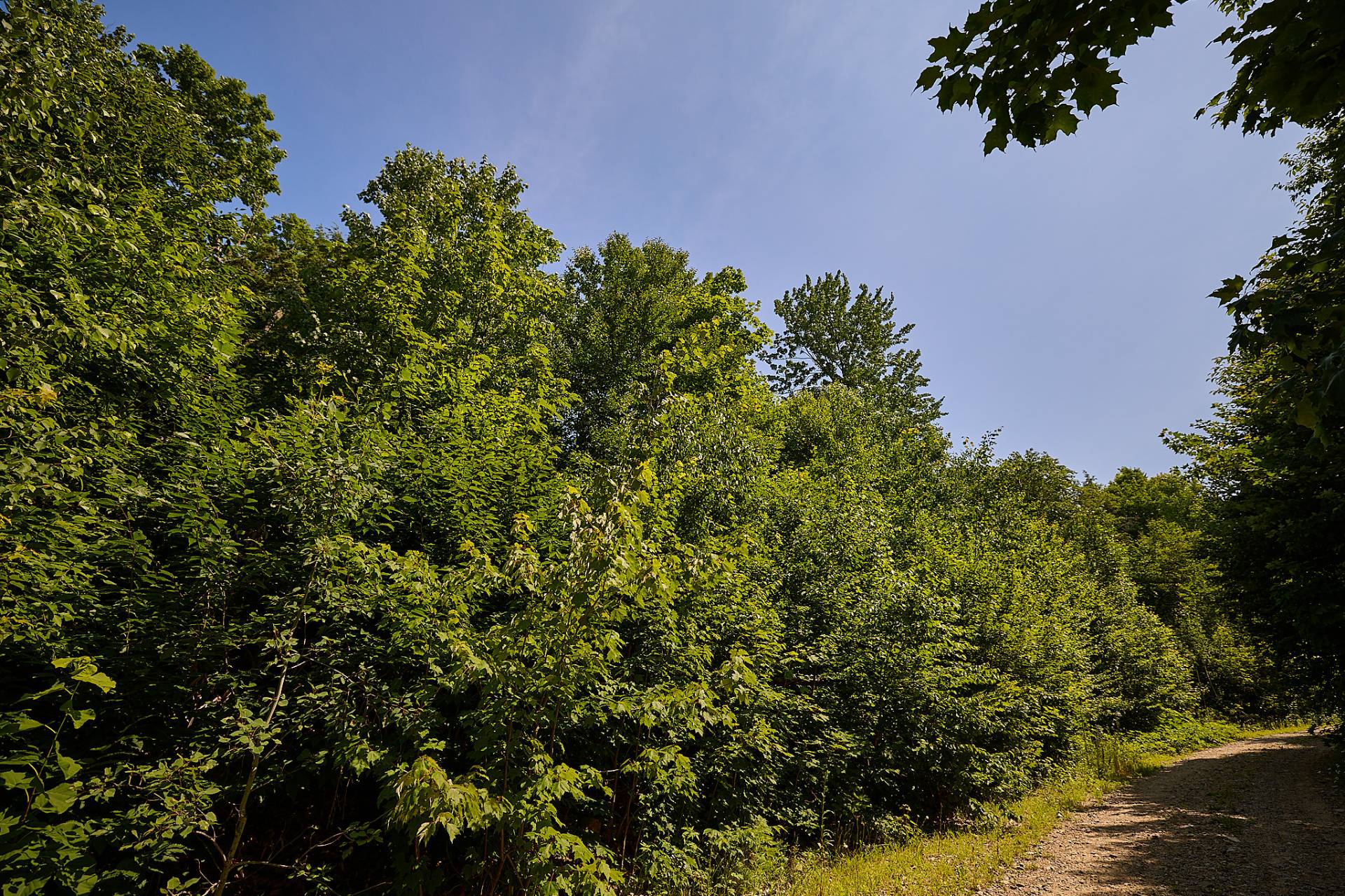 Land in Grenville-sur-la-Rouge 2