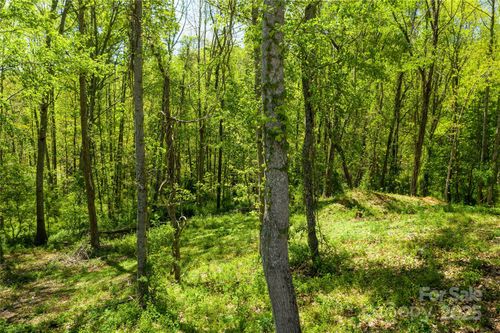 55-9999 Bee Balm Way, Asheville, NC, 28804 | Card Image