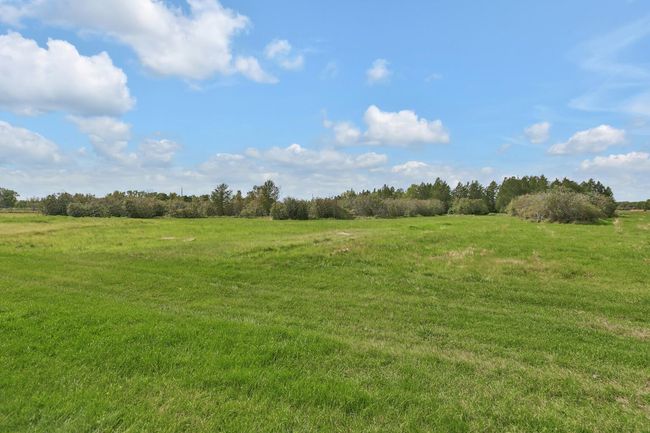 Excellent hay crop off this land. Would make an exceptional horse/equestrian estate. | Image 13
