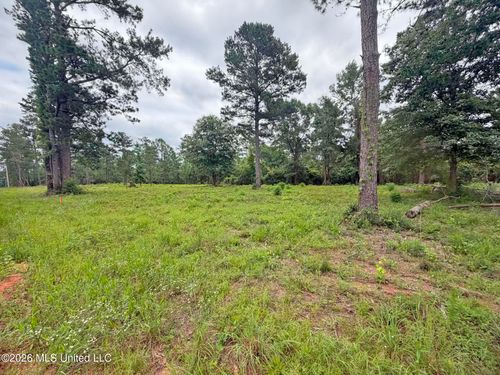 Parcel 3 Old 63 N, Lucedale, MS, 39452 | Card Image